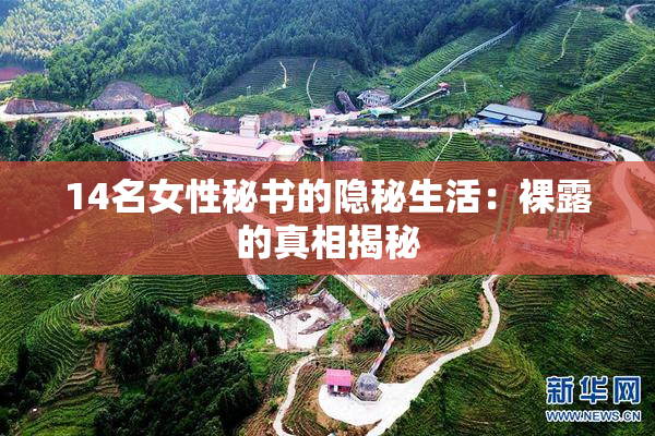14名女性秘书的隐秘生活：裸露的真相揭秘