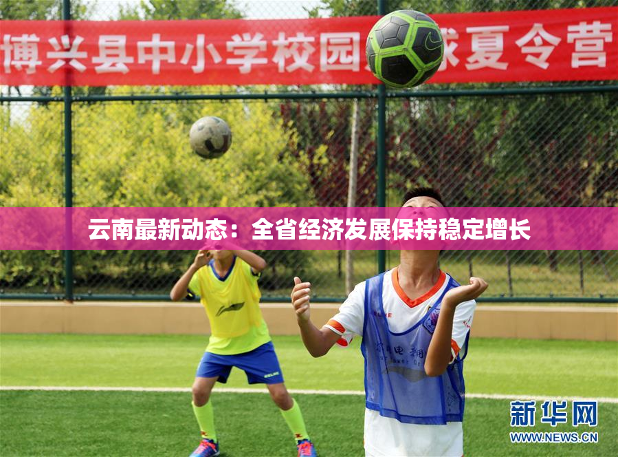 云南最新动态：全省经济发展保持稳定增长