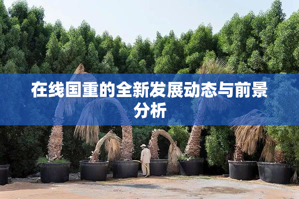 在线国重的全新发展动态与前景分析