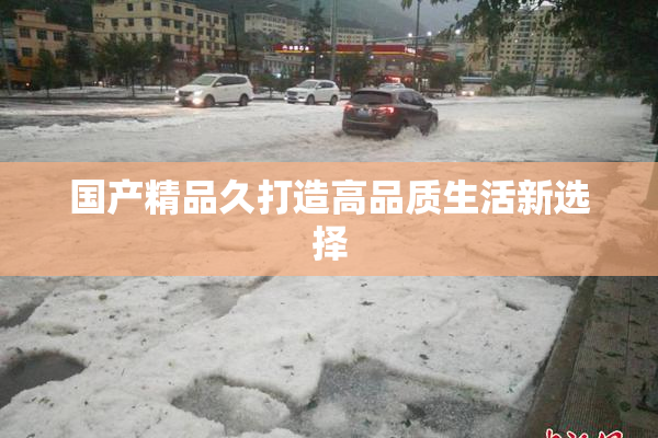 国产精品久打造高品质生活新选择