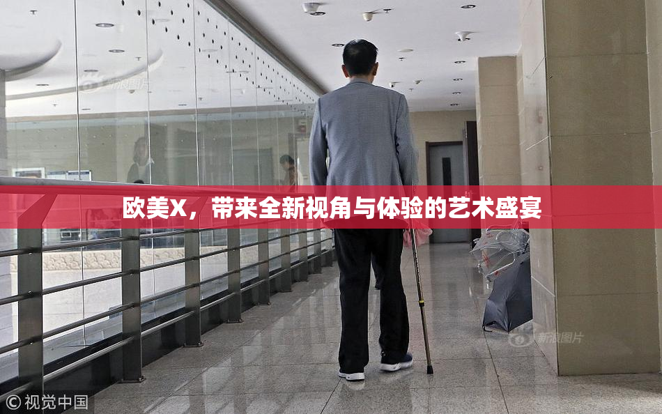欧美X，带来全新视角与体验的艺术盛宴