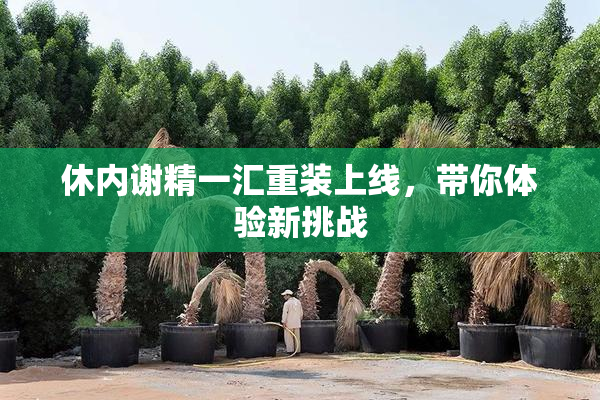 休内谢精一汇重装上线，带你体验新挑战