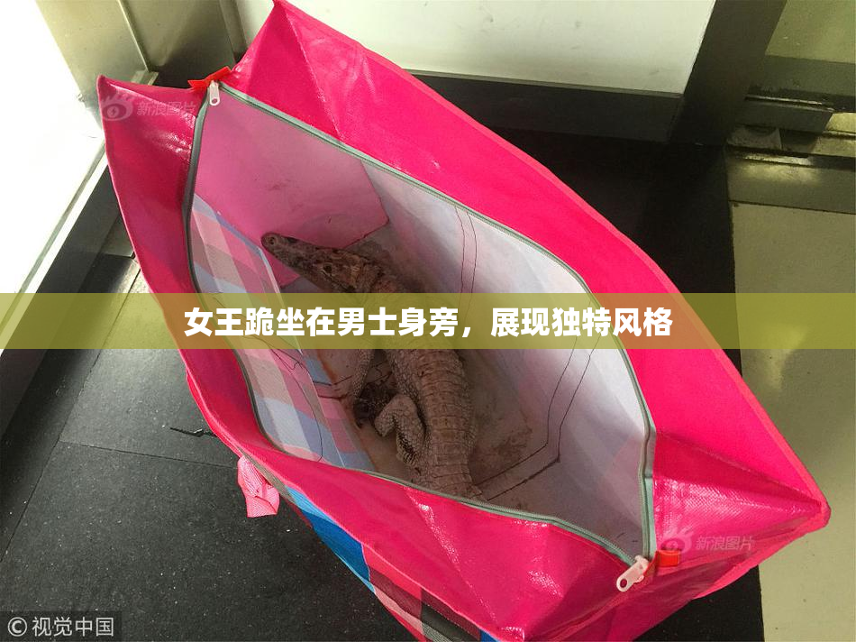 女王跪坐在男士身旁，展现独特风格