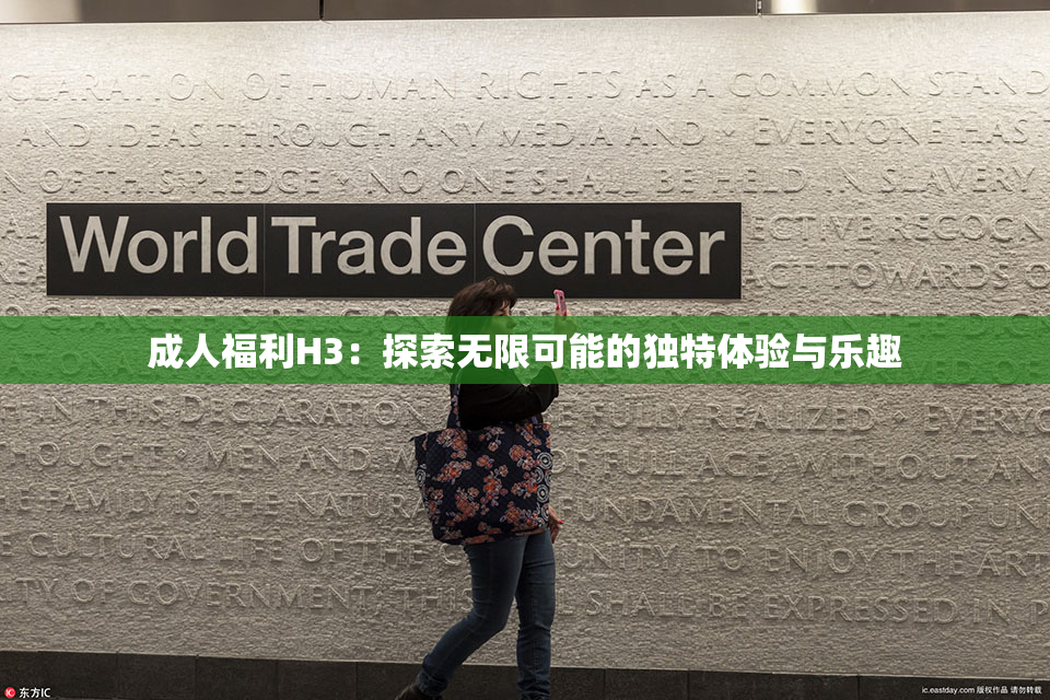 成人福利H3：探索无限可能的独特体验与乐趣