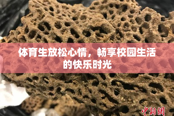 体育生放松心情，畅享校园生活的快乐时光