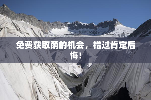 免费获取荫的机会，错过肯定后悔！