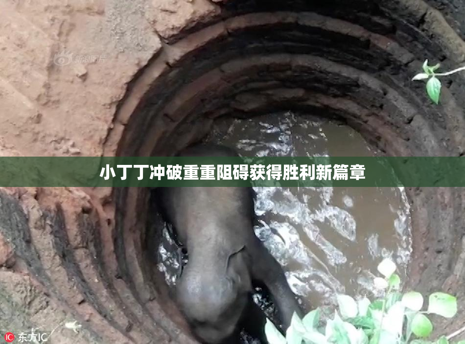 小丁丁冲破重重阻碍获得胜利新篇章
