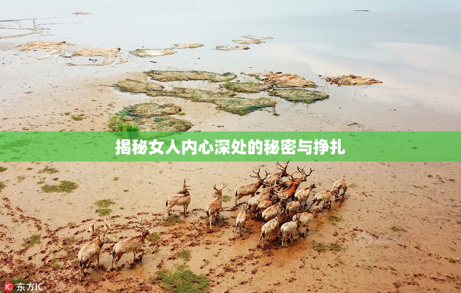揭秘女人内心深处的秘密与挣扎