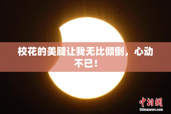 校花的美腿让我无比倾倒，心动不已！