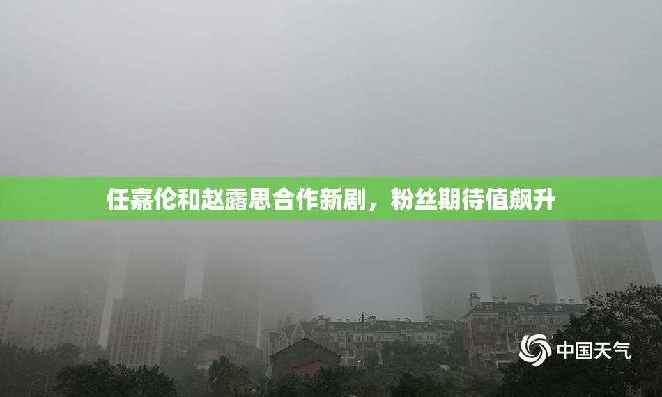 任嘉伦和赵露思合作新剧，粉丝期待值飙升
