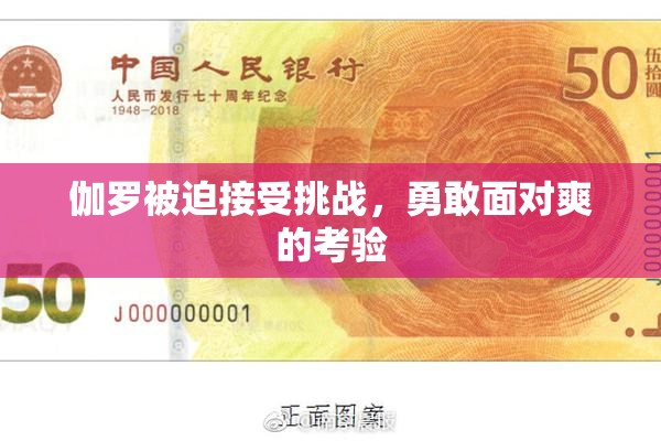 伽罗被迫接受挑战，勇敢面对爽的考验