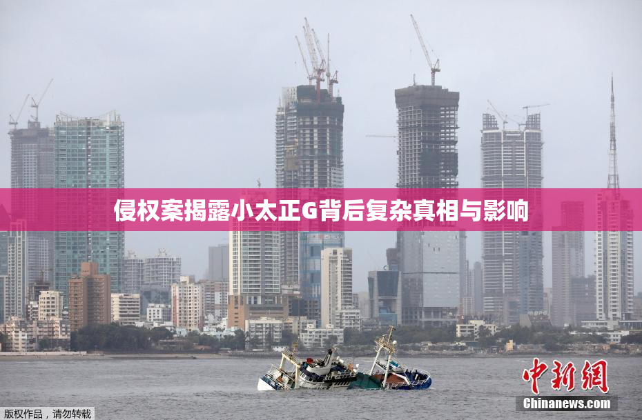 侵权案揭露小太正G背后复杂真相与影响