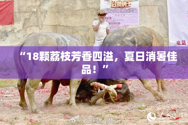 “18颗荔枝芳香四溢，夏日消暑佳品！”
