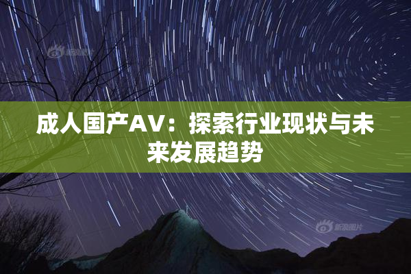 成人国产AV：探索行业现状与未来发展趋势