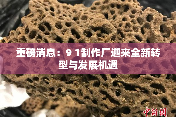 重磅消息：9 1制作厂迎来全新转型与发展机遇
