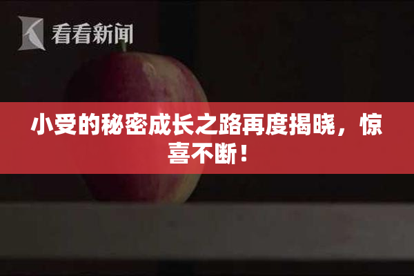 小受的秘密成长之路再度揭晓，惊喜不断！