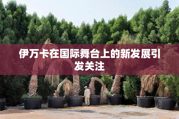 伊万卡在国际舞台上的新发展引发关注