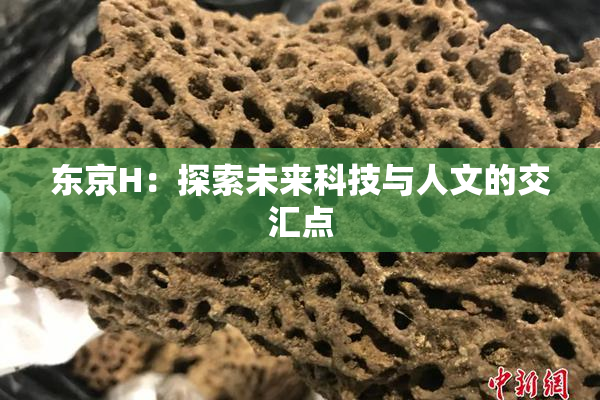 东京H：探索未来科技与人文的交汇点