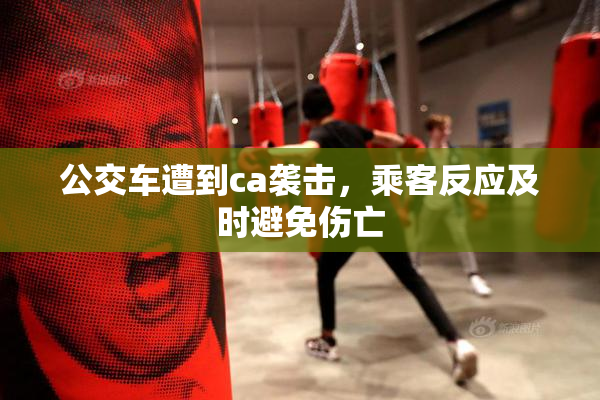 公交车遭到ca袭击，乘客反应及时避免伤亡