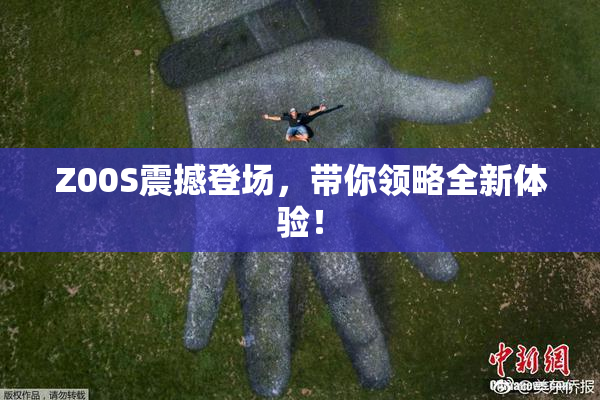 Z00S震撼登场，带你领略全新体验！