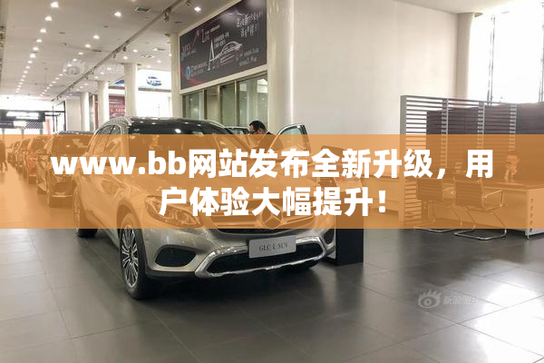 www.bb网站发布全新升级，用户体验大幅提升！