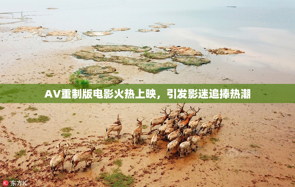 AV重制版电影火热上映，引发影迷追捧热潮