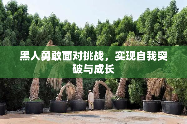 黑人勇敢面对挑战，实现自我突破与成长