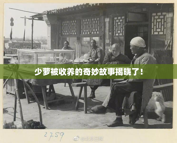 少萝被收养的奇妙故事揭晓了！