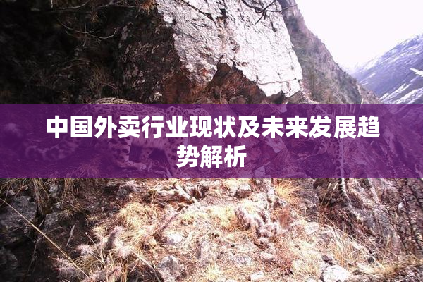 中国外卖行业现状及未来发展趋势解析