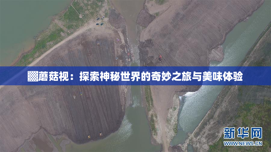 ▓蘑菇视：探索神秘世界的奇妙之旅与美味体验