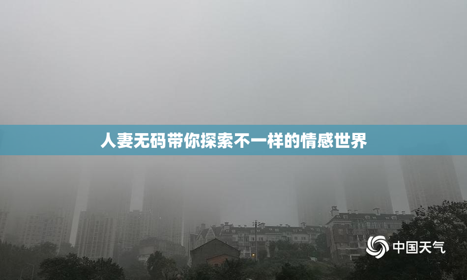 人妻无码带你探索不一样的情感世界