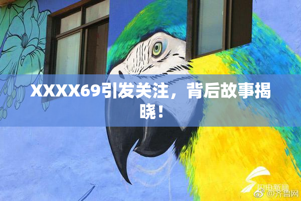 XXXX69引发关注，背后故事揭晓！