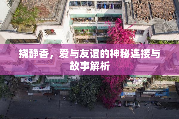 挠静香，爱与友谊的神秘连接与故事解析