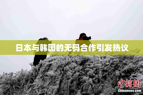 日本与韩国的无码合作引发热议