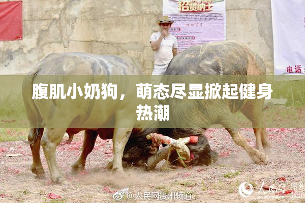 腹肌小奶狗，萌态尽显掀起健身热潮