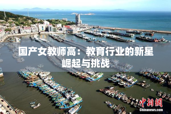 国产女教师高：教育行业的新星崛起与挑战