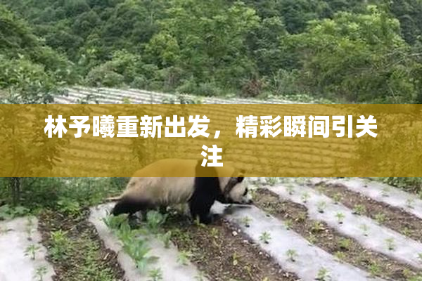 林予曦重新出发，精彩瞬间引关注