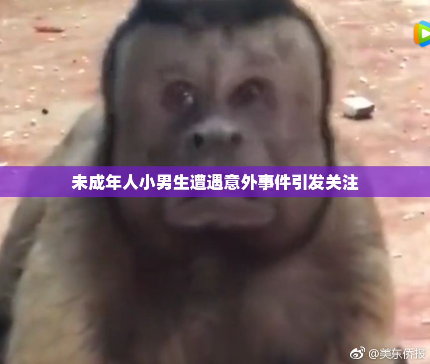 未成年人小男生遭遇意外事件引发关注