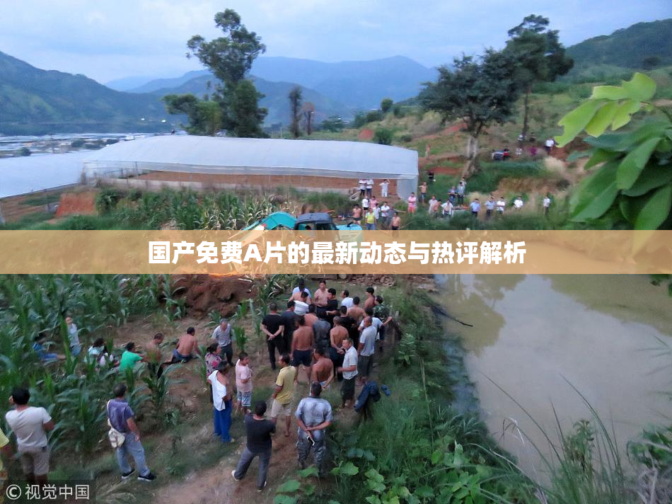 国产免费A片的最新动态与热评解析