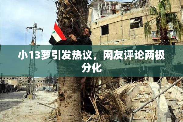 小13萝引发热议，网友评论两极分化
