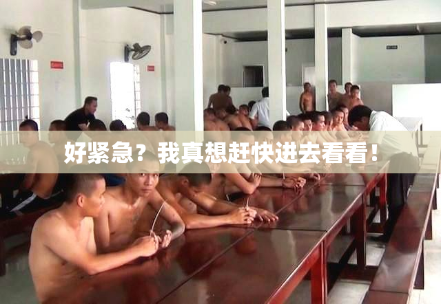 好紧急？我真想赶快进去看看！