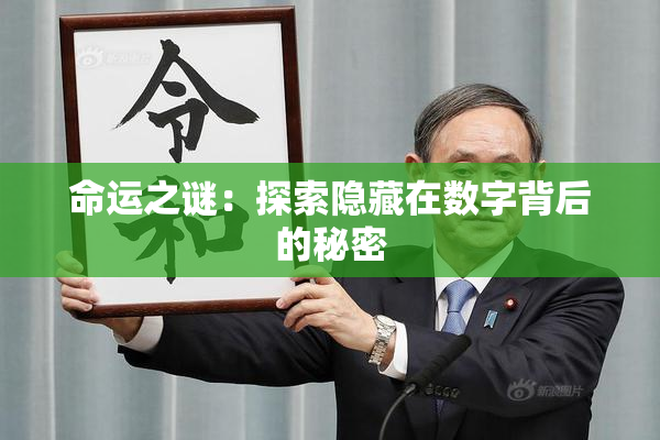 命运之谜：探索隐藏在数字背后的秘密