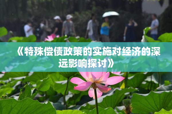 《特殊偿债政策的实施对经济的深远影响探讨》
