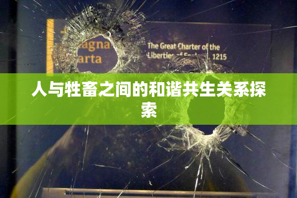 人与牲畜之间的和谐共生关系探索