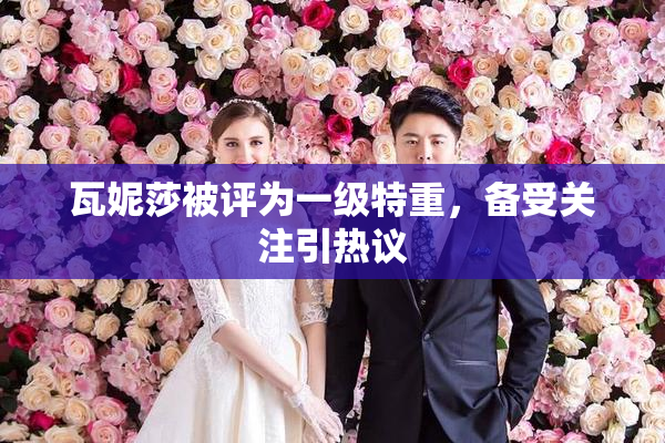 瓦妮莎被评为一级特重，备受关注引热议