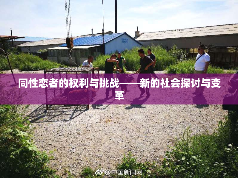 同性恋者的权利与挑战——新的社会探讨与变革
