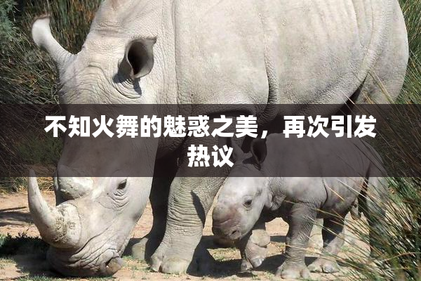 不知火舞的魅惑之美，再次引发热议