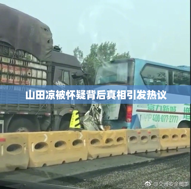 山田凉被怀疑背后真相引发热议