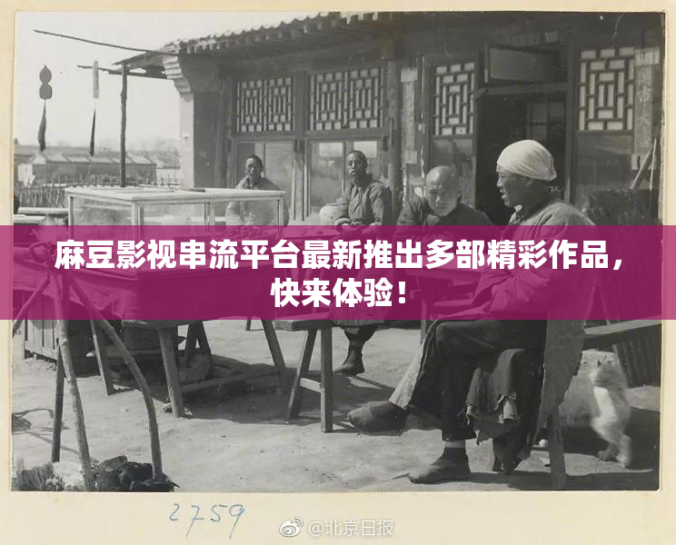 麻豆影视串流平台最新推出多部精彩作品，快来体验！