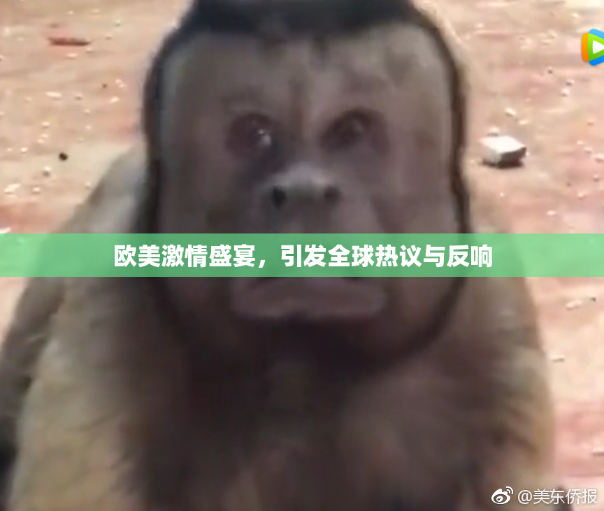 欧美激情盛宴，引发全球热议与反响